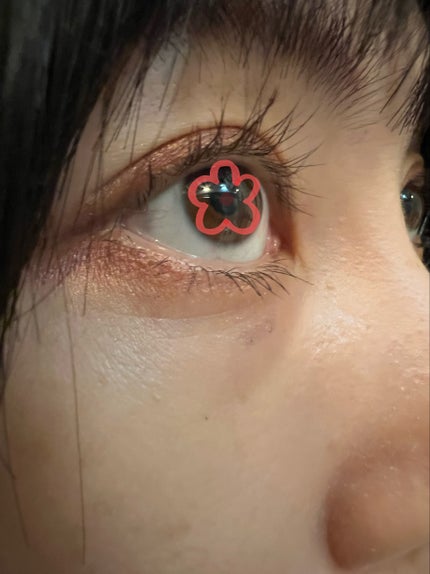 ザ マスカラ プライマー カール フィクサー/ADDICTION/マスカラ下地を使ったクチコミ(2枚目)