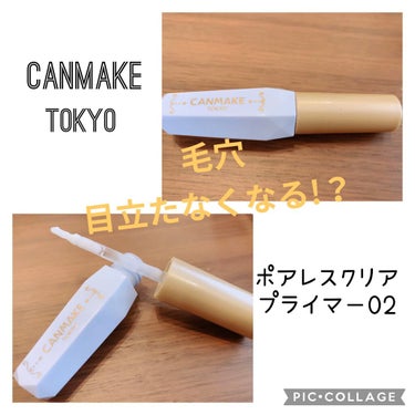 CANMAKE  
ポアレスクリアプライマー02  (ライトブルー)
770円(税込)


前も投稿しましたが、使用した画像を載せていなかったので再度投稿します😊


肌悩みって色々気になる部分あります