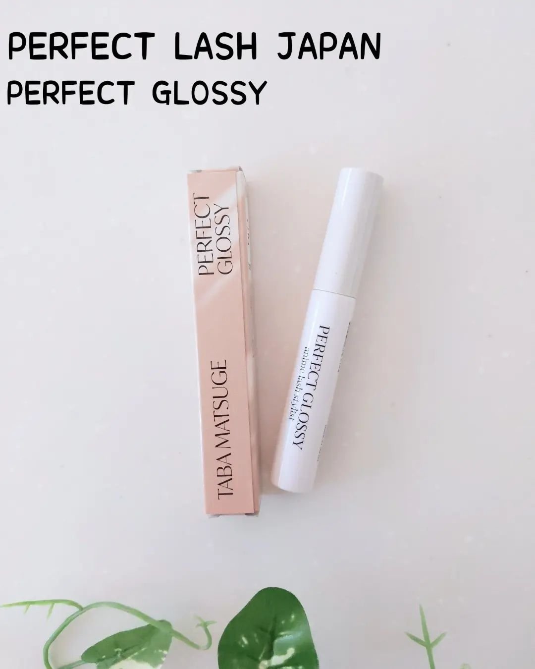 パーフェクトグロッシー/PERFECT LASH/まつげ美容液を使ったクチコミ（1枚目）