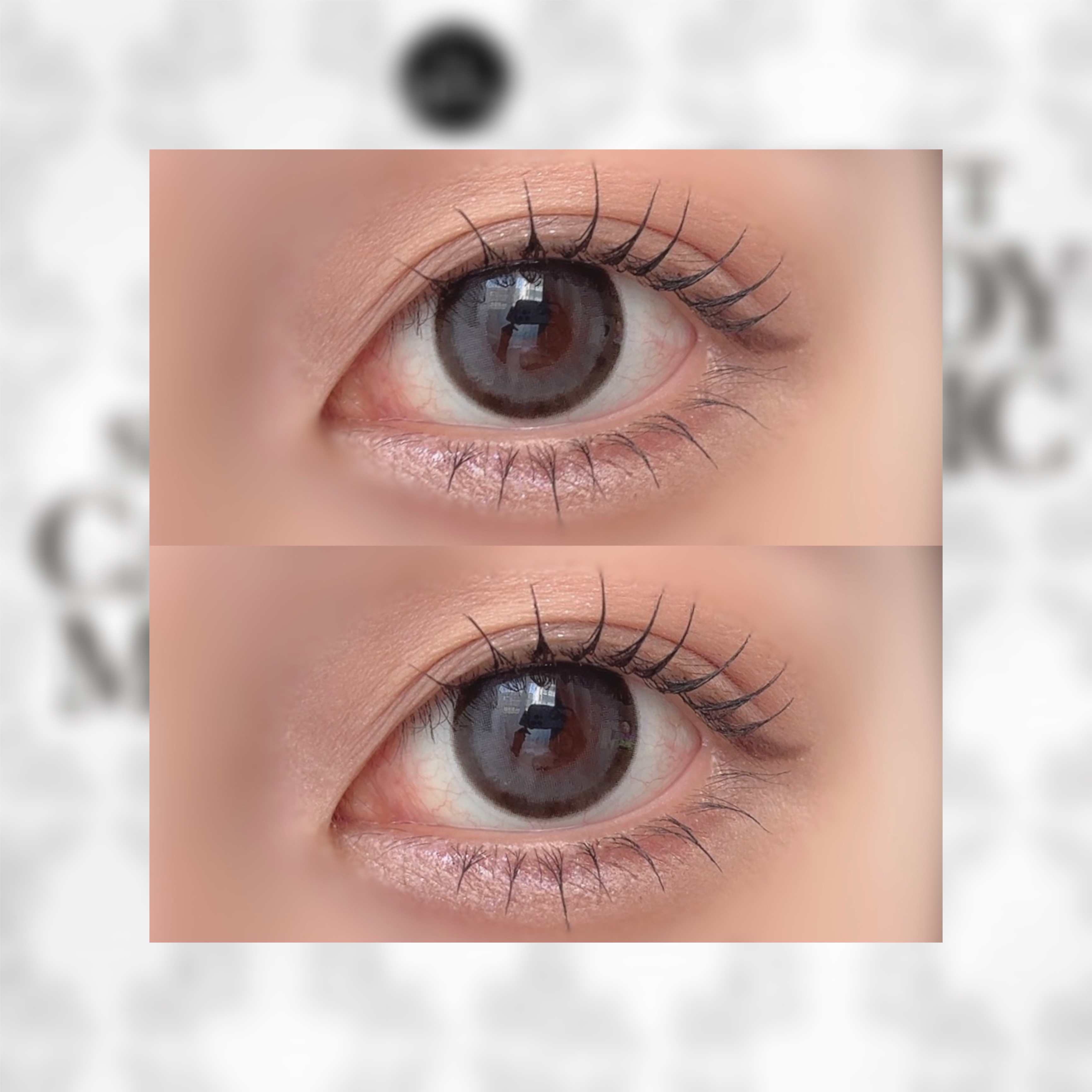 secretcandymagic 1day(シークレットキャンディーマジック） プルモグレー/secret candymagic/ワンデー（１DAY）カラコンを使ったクチコミ（3枚目）