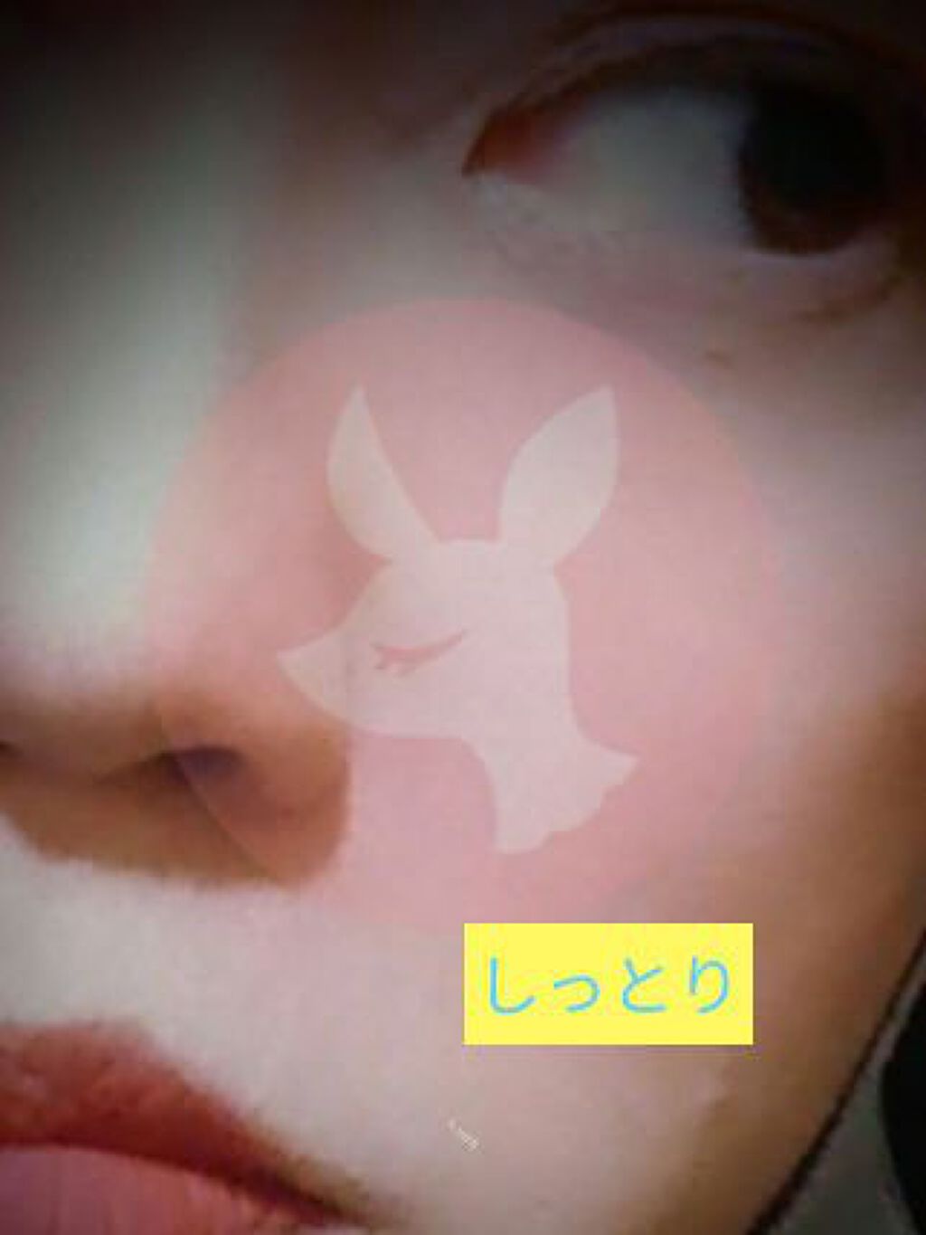  メルティング シアー マット バーム/CLIO/口紅を使ったクチコミ（1枚目）