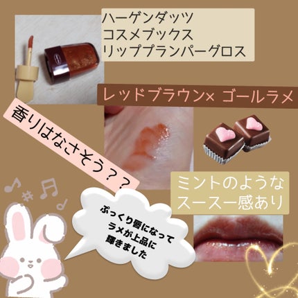 ハーゲンダッツコスメセットブックス リッププランパーグロス/宝島社/リップグロスを使ったクチコミ(2枚目)