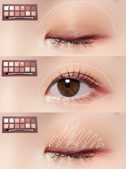 エクスプローラ12色 動物アイシャドウパレット/PERFECT DIARY/アイシャドウパレットを使ったクチコミ(3枚目)