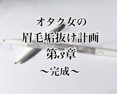 オタクメガネの私が手っ取り早く簡単に可愛くなる方法その3


こちらも続きです。


眉毛がある方なら

・アイブローマスカラ

・アイブロウパウダー

でも充分可愛くなれると思いますが、私の眉毛は麻呂