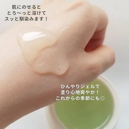 シカパンテノールスリーピングパック/SNP/フェイスクリームを使ったクチコミ(4枚目)