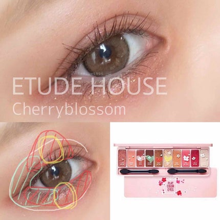 プロ アイ パレット/CLIO/アイシャドウパレットを使ったクチコミ(4枚目)