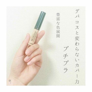 カバーパーフェクション チップコンシーラー/the SAEM/コンシーラーを使ったクチコミ（1枚目）