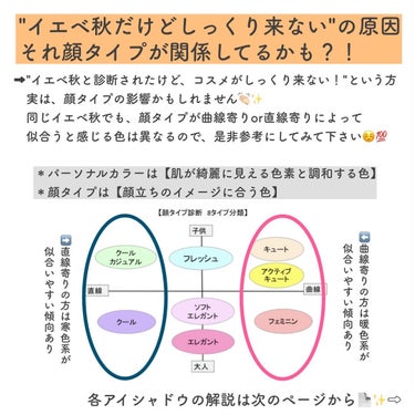 アディクション　ザ アイシャドウ パレット/ADDICTION/アイシャドウパレットを使ったクチコミ（2枚目）