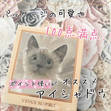 こんにちは！　ハンナです❤️

今回はパッケージに目を惹かれるアイシャドウのレビューです。

ヴィーナスマーブル　
キャットシリーズアイシャドウ　シャム猫

めちゃくちゃ可愛いねこちゃんのパッケージに思