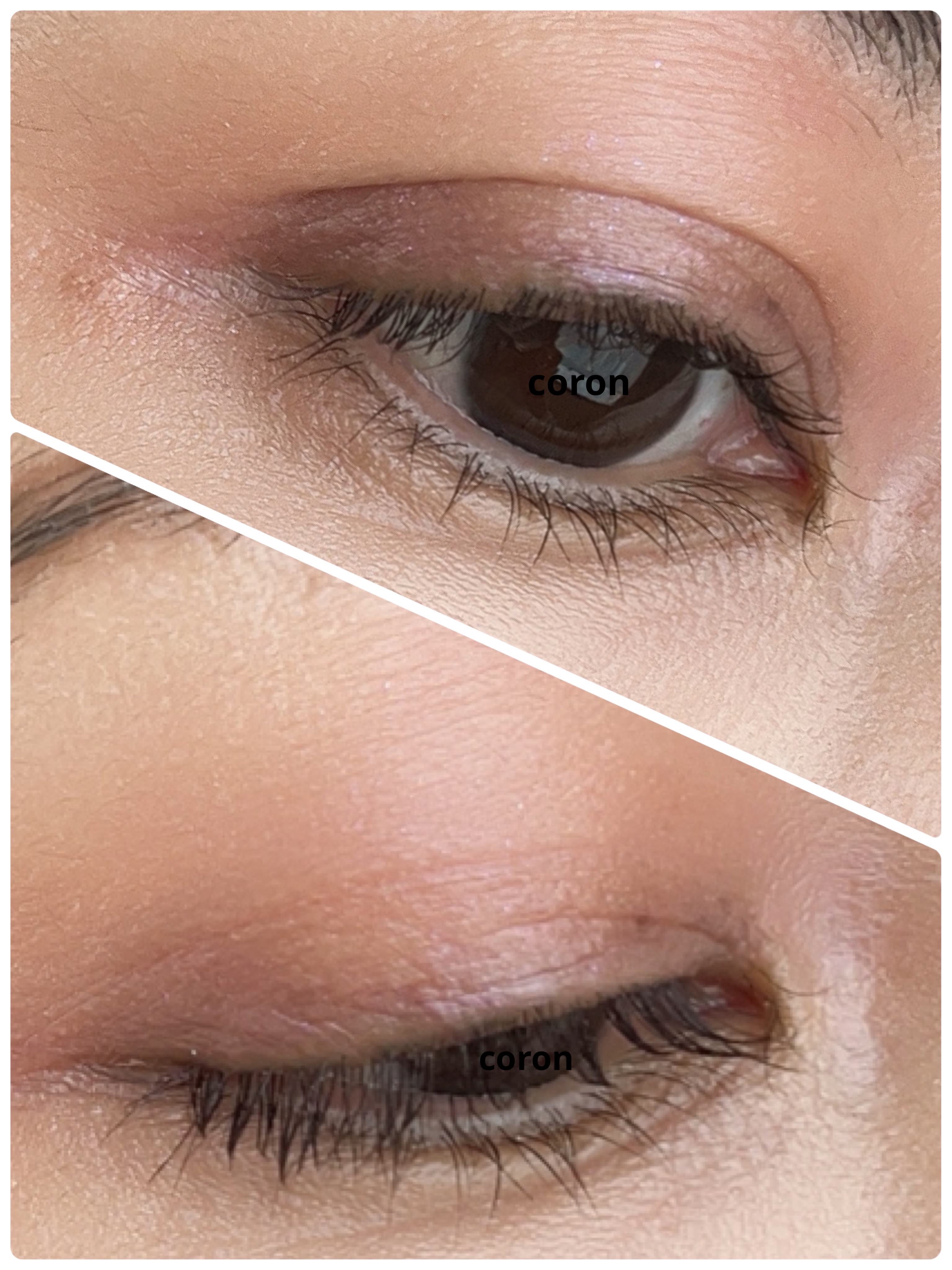 パーフェクトエクステンション マスカラ/D-UP/マスカラを使ったクチコミ（2枚目）