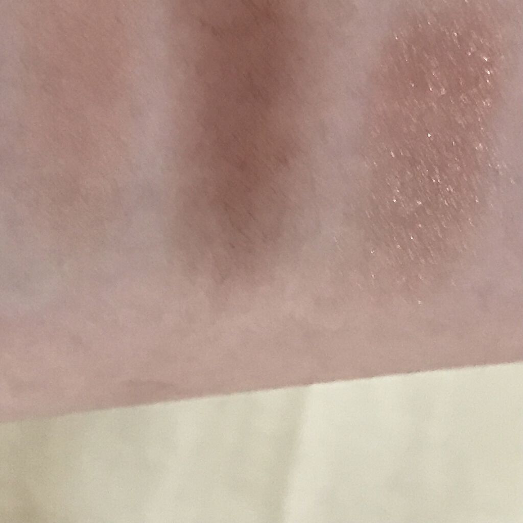 パラダイス デュアルパレット ココディライト/DEAR DAHLIA/マルチパレットを使ったクチコミ（2枚目）