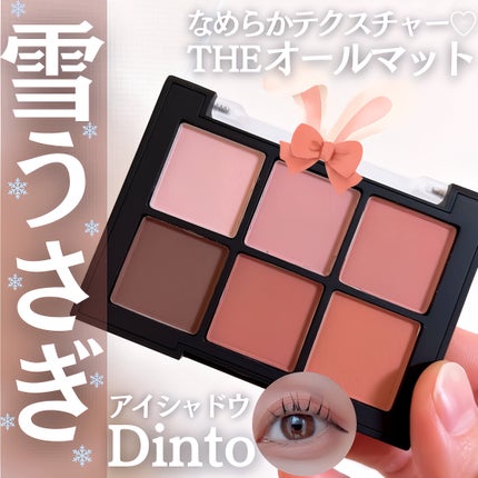 ブラーフィニシュシャドウパレット/Dinto/アイシャドウパレットを使ったクチコミ(1枚目)