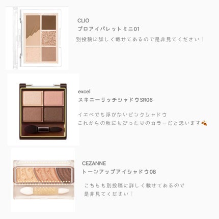 ラスティングマルチアイベース WP/キャンメイク/アイシャドウベースを使ったクチコミ(2枚目)