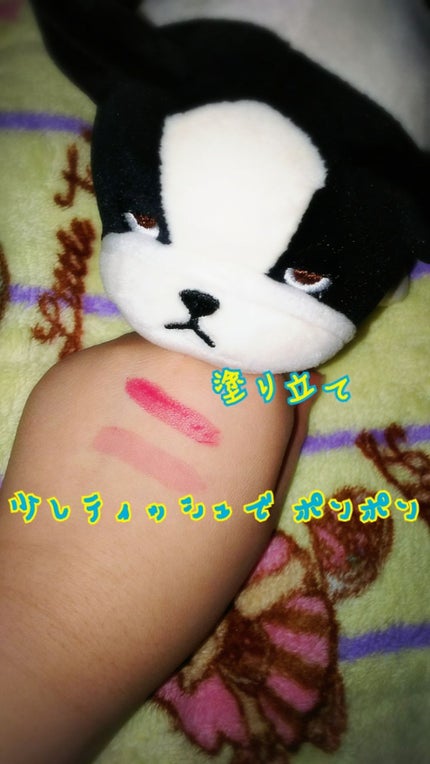 を使ったクチコミ(3枚目)