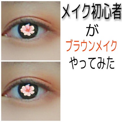 プロ アイ パレット/CLIO/アイシャドウパレットを使ったクチコミ(1枚目)