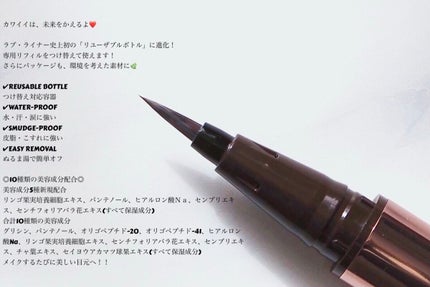 リキッドアイライナーR4/ラブ・ライナー/リキッドアイライナーを使ったクチコミ(4枚目)