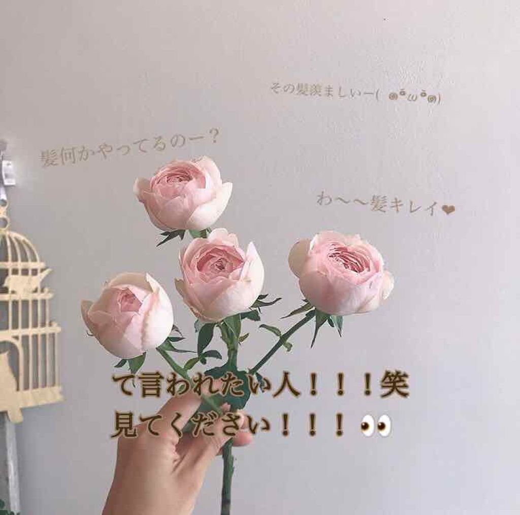 を使ったクチコミ（1枚目）