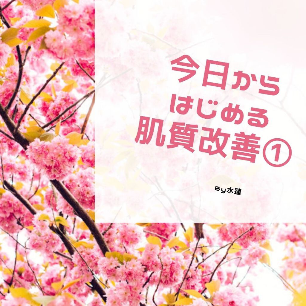ハトムギ化粧水(ナチュリエ スキンコンディショナー R )/ナチュリエ/化粧水を使ったクチコミ(1枚目)