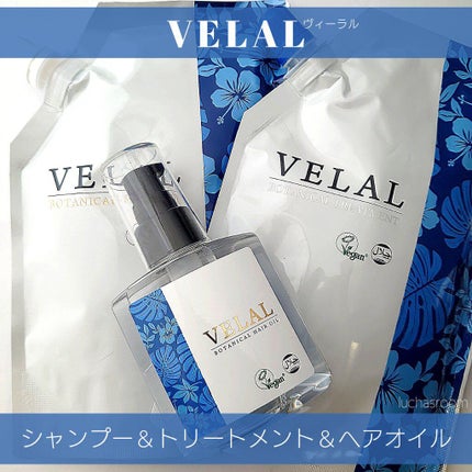 VELAL BOTANICAL SHAMPOO/VELAL/シャンプー・コンディショナーを使ったクチコミ(1枚目)