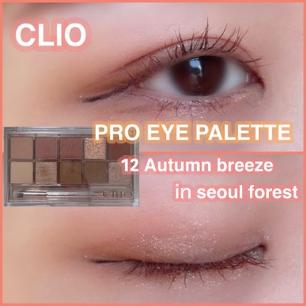 プロ アイ パレット/CLIO/アイシャドウパレットを使ったクチコミ(1枚目)