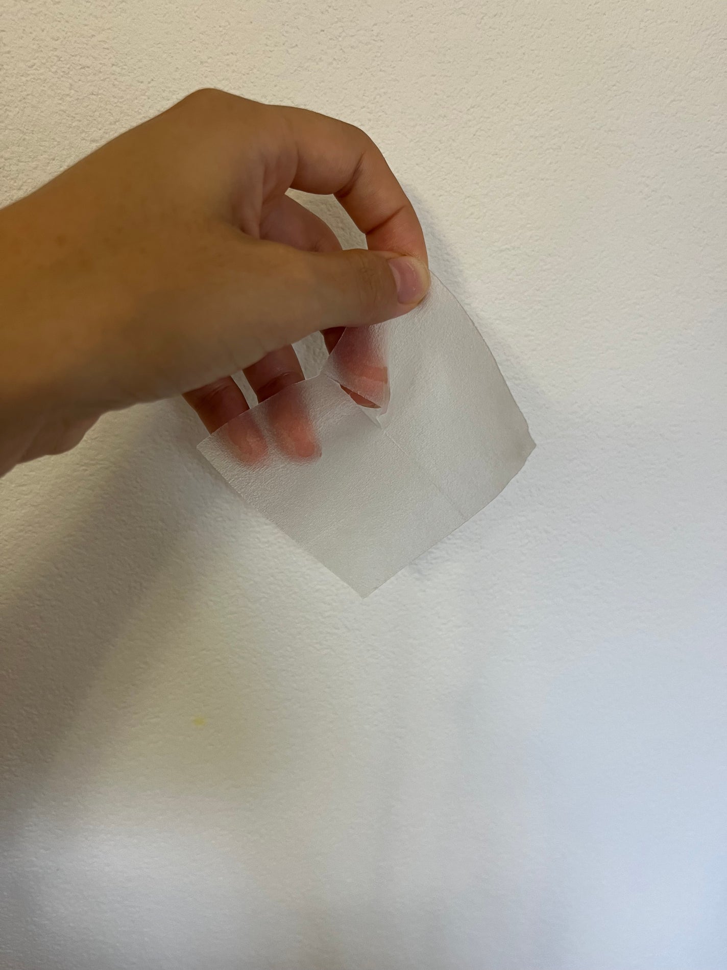 プロバイオダームタイトニングT3コラーゲンパッド/BIOHEAL BOH/トナーパッドを使ったクチコミ(3枚目)