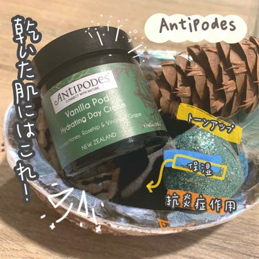 Antipodes バニラポッド ハイドレーティングディクリームのクチコミ「こんにちは。Kikiiiiです！(〃ω〃)
今日は私の大好きな#クリーム を紹介します。
An.....」（1枚目）