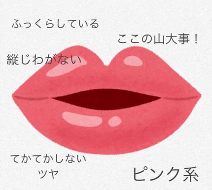 ハニーポンプグロス NEO/MAJOLICA MAJORCA/リップグロスを使ったクチコミ(2枚目)