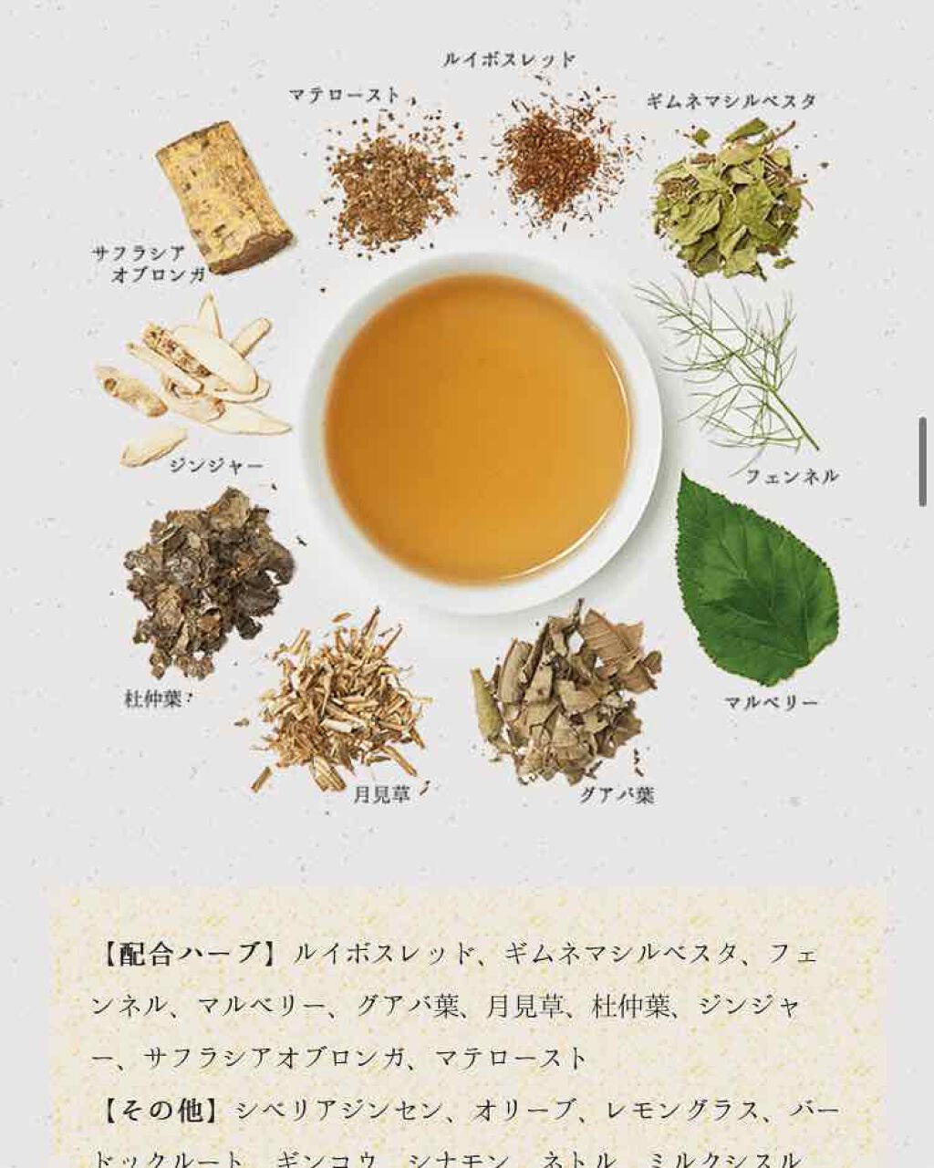 私の30日茶/生活の木/ドリンクを使ったクチコミ（2枚目）