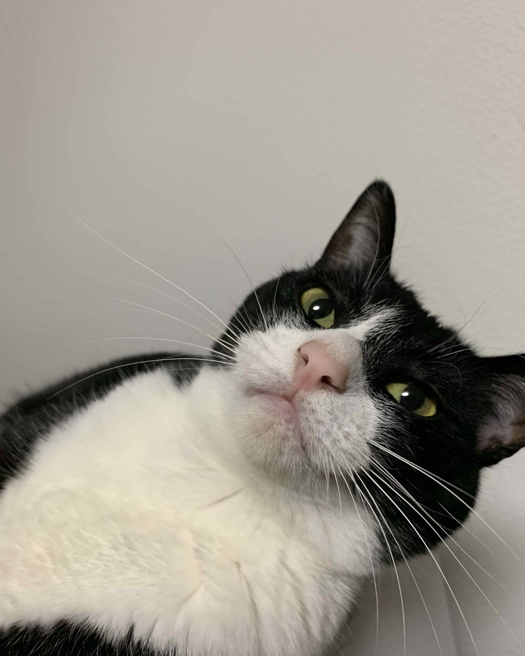 プレイカラー アイシャドウ/ETUDE/アイシャドウパレットを使ったクチコミ（1枚目）