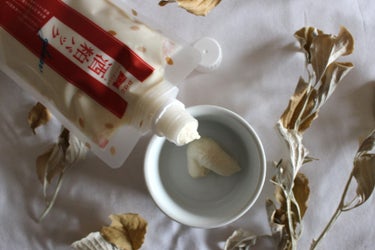 ワフードメイド 酒粕パック グロー/pdc/洗い流すパック・マスクを使ったクチコミ（2枚目）