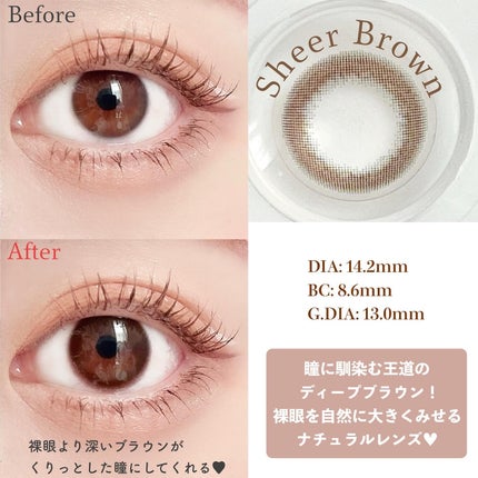 feliamo 1day シアーブラウン/feliamo/ワンデー(1DAY)カラコンの画像