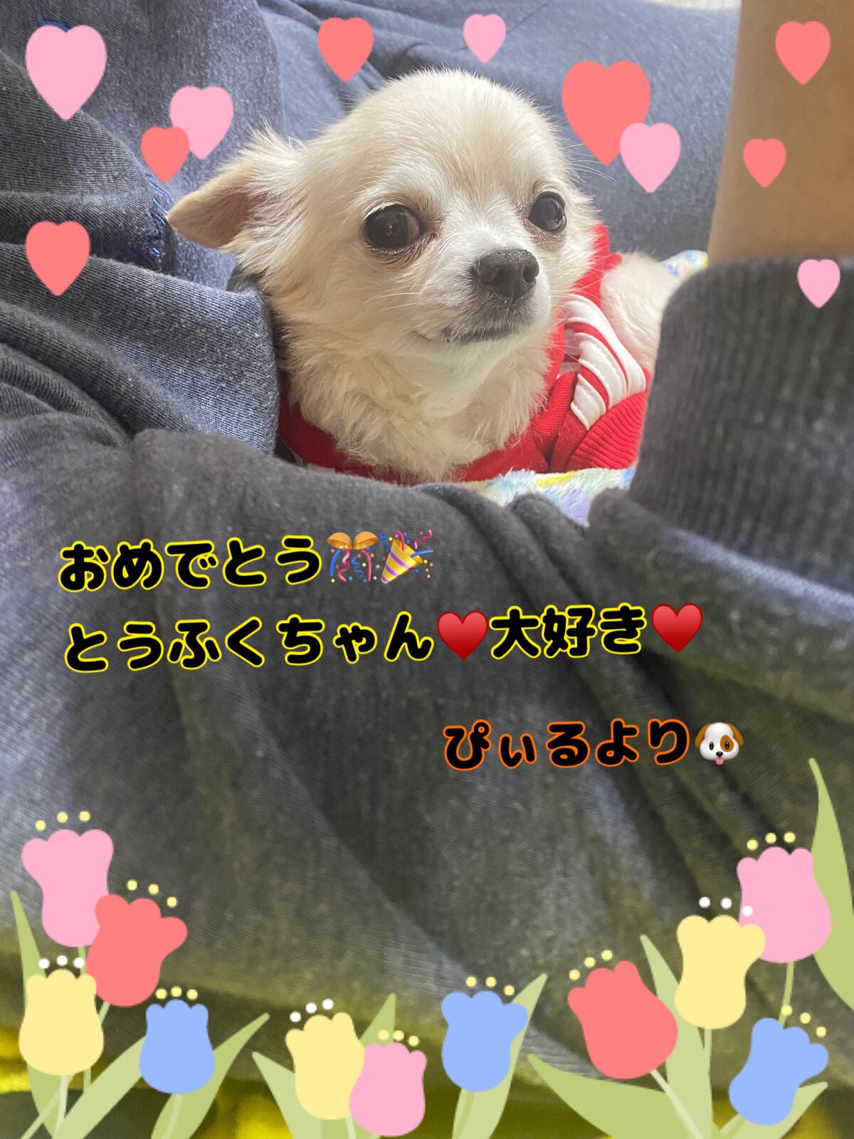 カラフルネイルズ/キャンメイク/マニキュアを使ったクチコミ(6枚目)