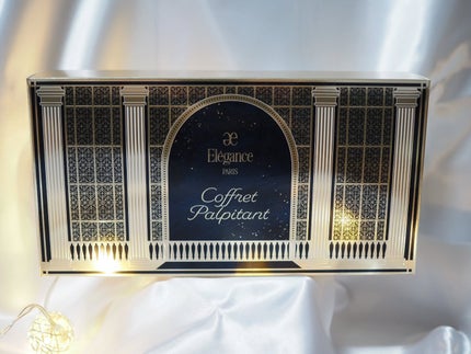 エレガンス コフレ パルピタン/Elégance/メイクアップキットを使ったクチコミ(9枚目)