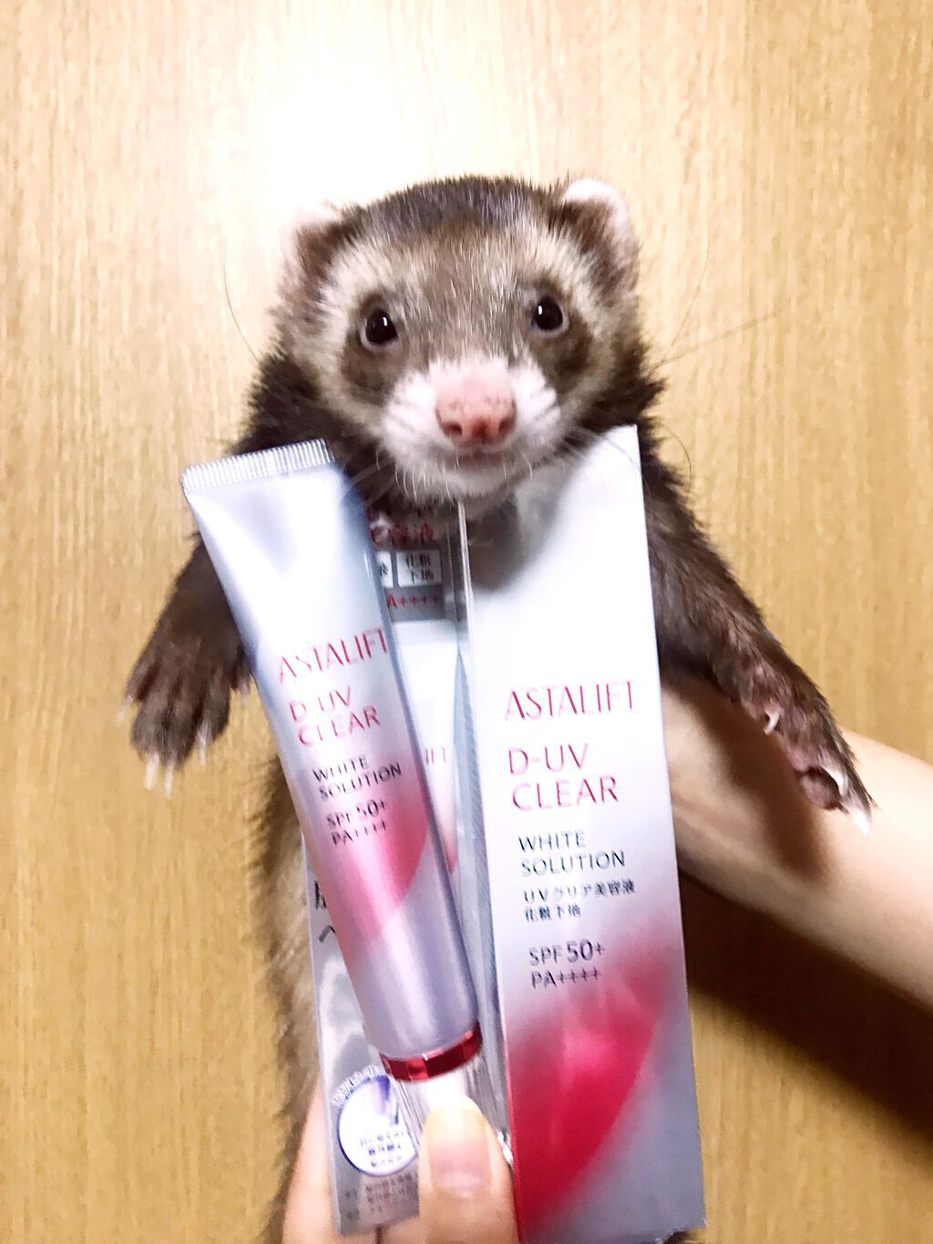 D-UVクリア ホワイトソリューション/アスタリフト/日焼け止めクリームを使ったクチコミ(1枚目)