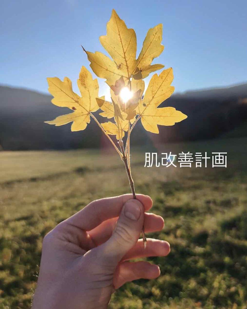 なさ on LIPS 「肌改善計画20日目こんばんは😳なさです😆💞ソフトバンクホークス..」(1枚目)