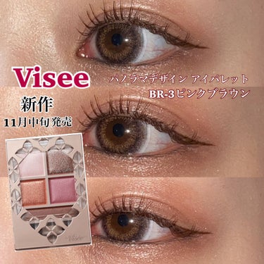 パノラマデザイン アイパレット/Visée/アイシャドウパレットを使ったクチコミ（1枚目）