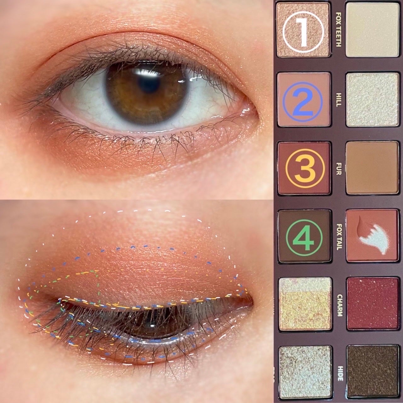 エクスプローラ12色 動物アイシャドウパレット/PERFECT DIARY/アイシャドウパレットを使ったクチコミ(4枚目)