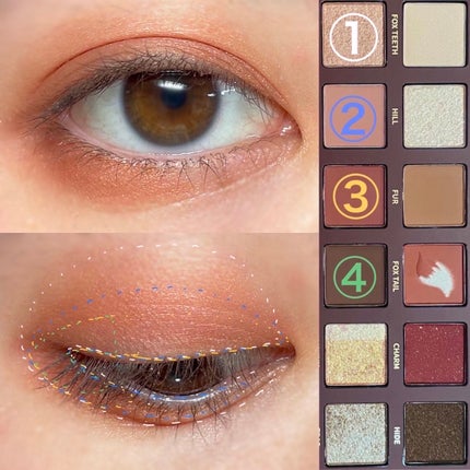 エクスプローラ12色 動物アイシャドウパレット/PERFECT DIARY/アイシャドウパレットを使ったクチコミ(4枚目)