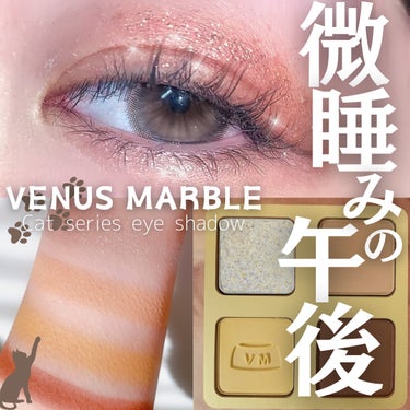 Venus Marble アイシャドウキャットシリーズ/Venus Marble/アイシャドウパレットを使ったクチコミ（1枚目）