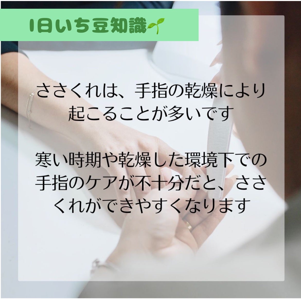 爪美活ネイルオイル/DAISO/ネイルオイル・トリートメントを使ったクチコミ(2枚目)