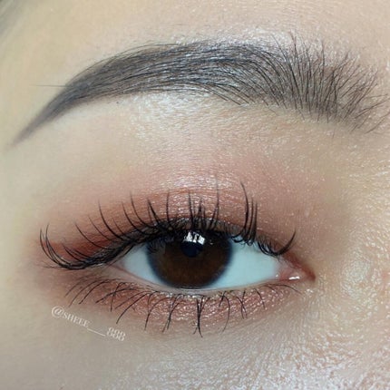 トーンアップアイシャドウ/CEZANNE/アイシャドウパレットを使ったクチコミ(6枚目)