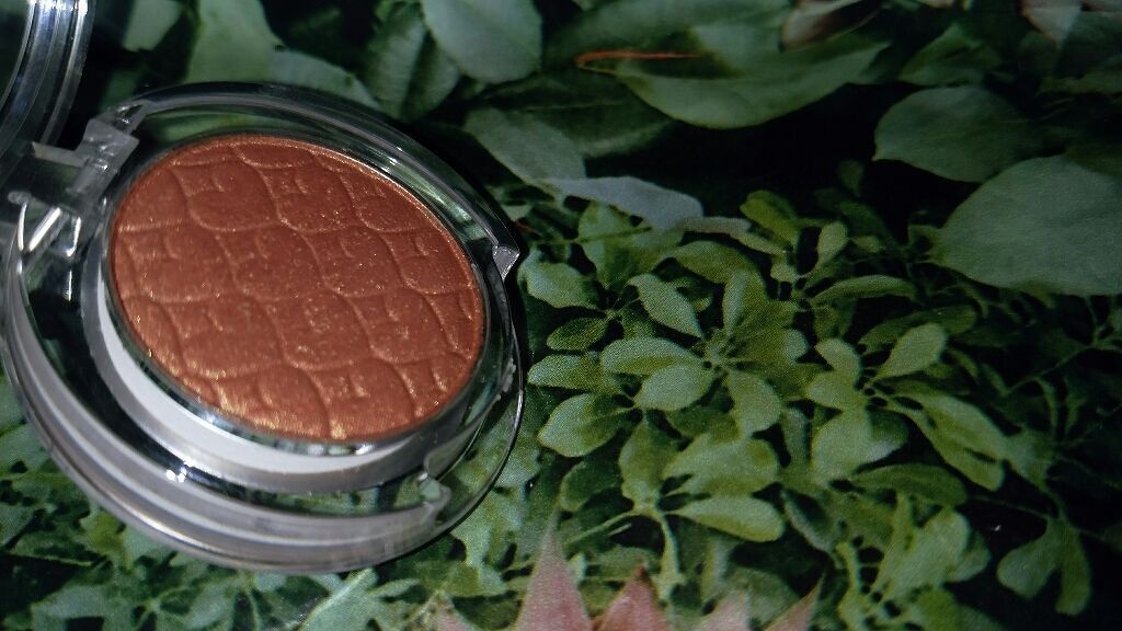 ルックアット マイアイズ/ETUDE/単色アイシャドウを使ったクチコミ（2枚目）