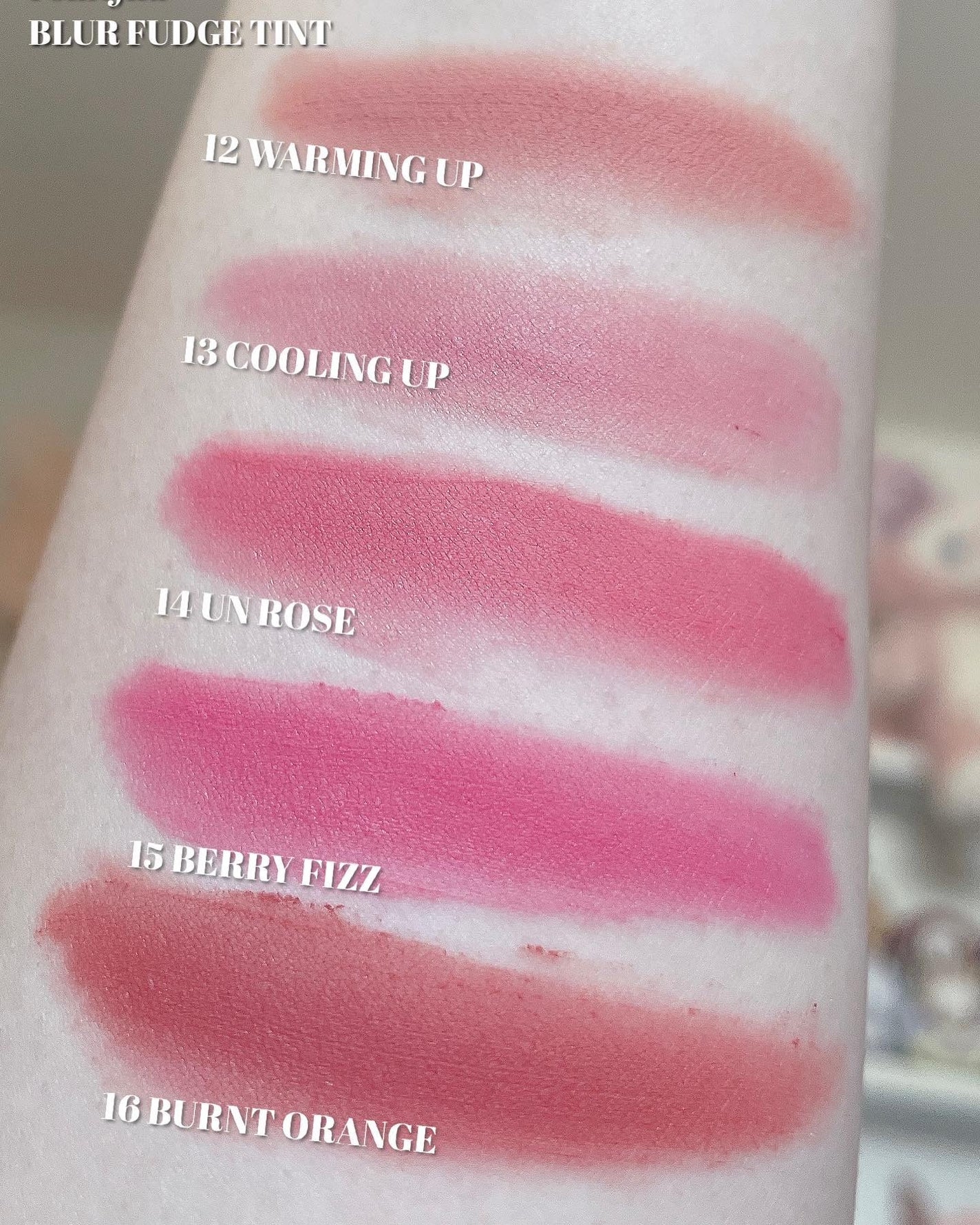 rom&nd ブラーファッジティント/rom&nd/リップティントを使ったクチコミ(3枚目)