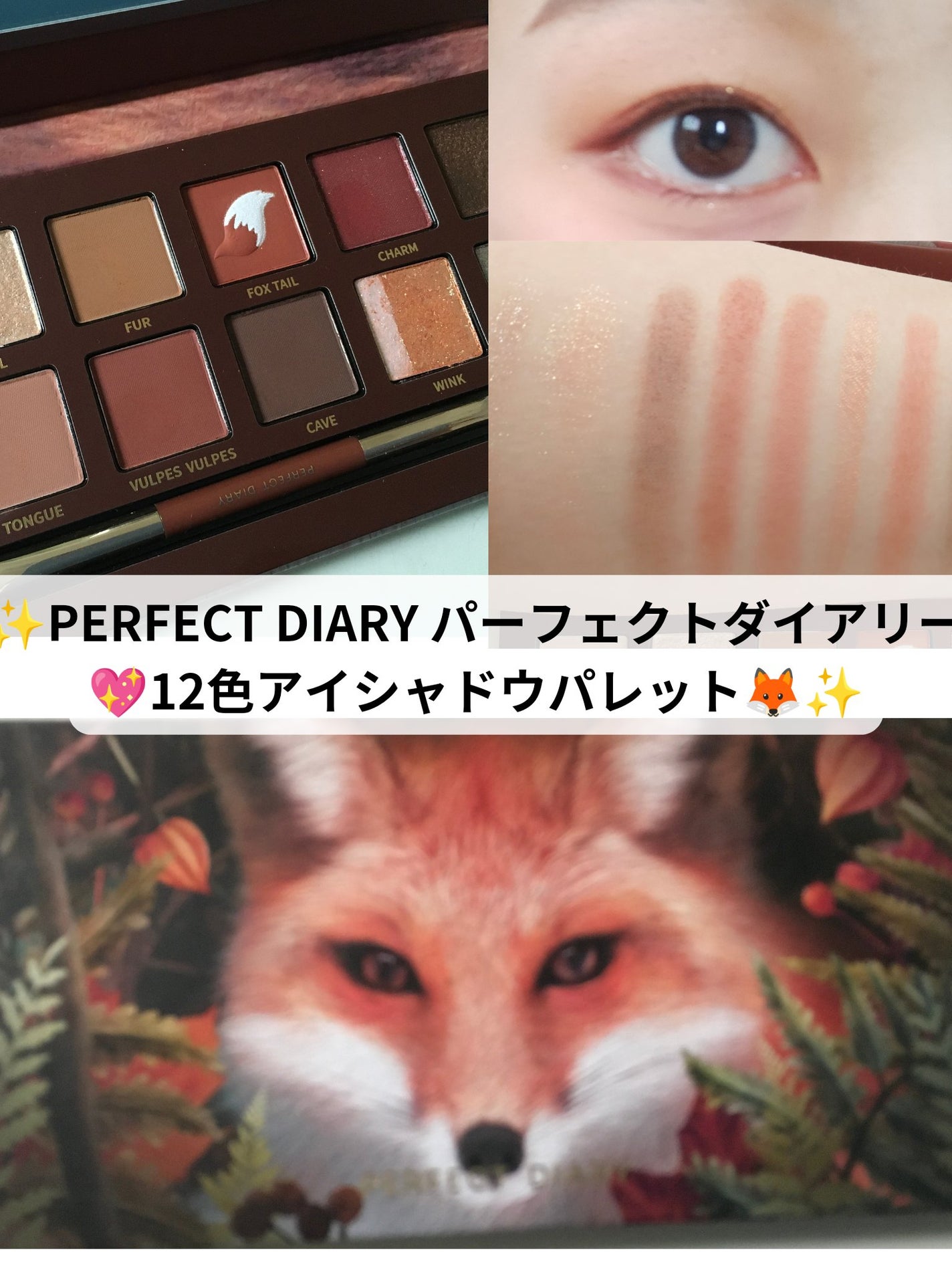 エクスプローラ12色 動物アイシャドウパレット/PERFECT DIARY/アイシャドウパレットを使ったクチコミ(1枚目)