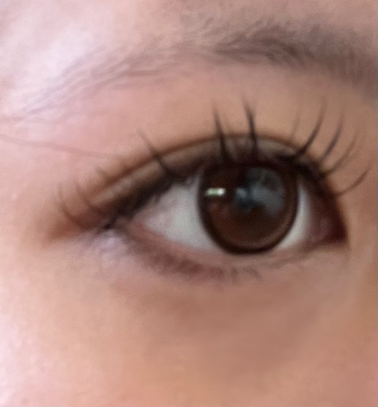 knock knock 1month マイメロディ［おんぷ］）/SHOBIDO/１ヶ月（１MONTH）カラコンを使ったクチコミ（1枚目）