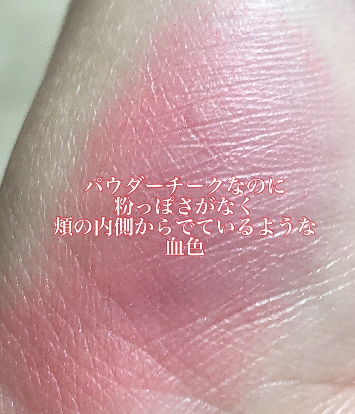 フォギーオンチークス N/Visée/パウダーチークを使ったクチコミ(2枚目)