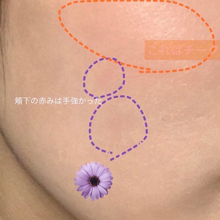 スキンプロテクトベース<皮脂くずれ防止>SPF50/プリマヴィスタ/化粧下地を使ったクチコミ(3枚目)
