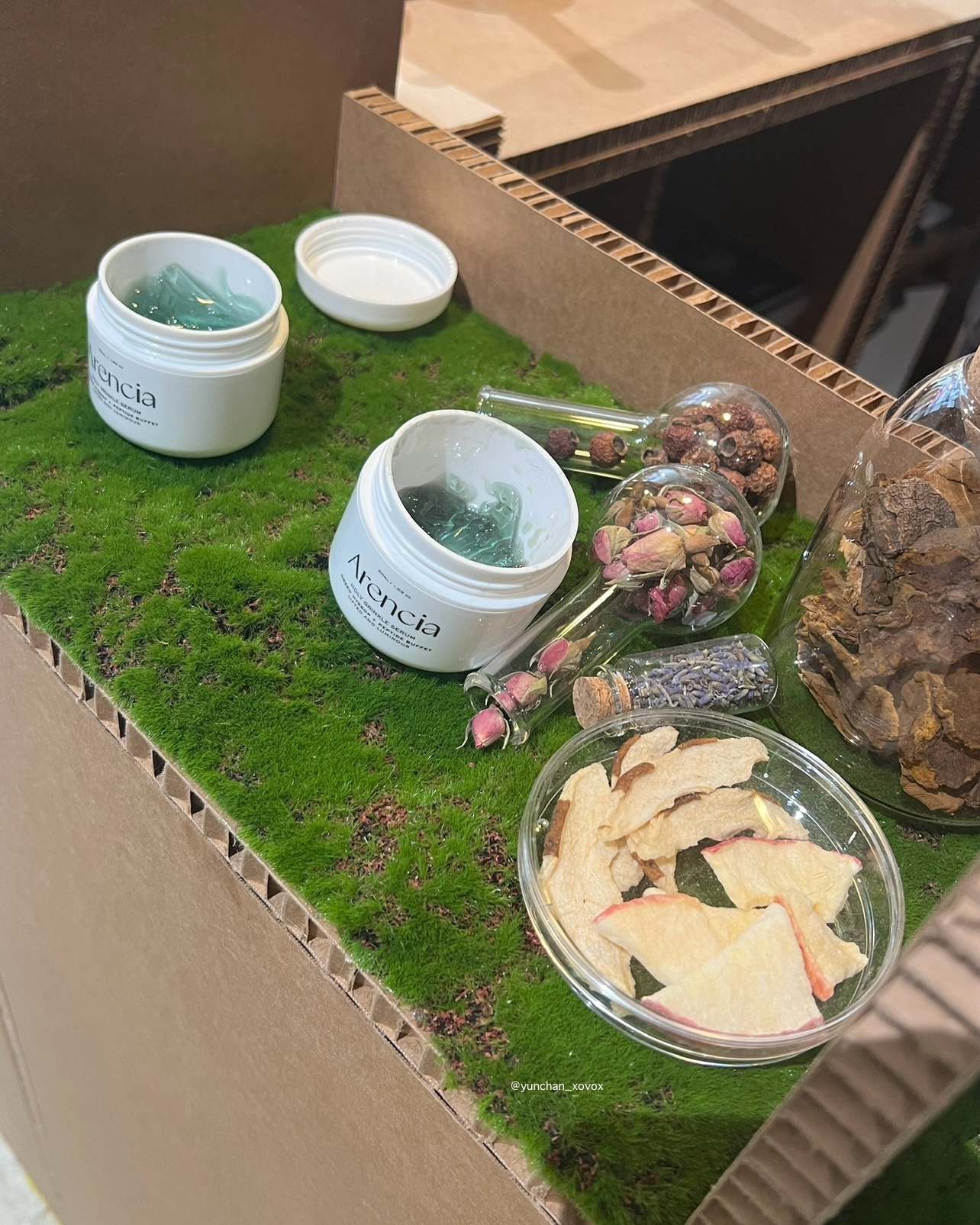 ピュア センテラ トナー/アレンシア/化粧水を使ったクチコミ（3枚目）