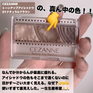 トーンアップアイシャドウ 01 ナチュラルブラウン/CEZANNE/アイシャドウパレットを使ったクチコミ（2枚目）