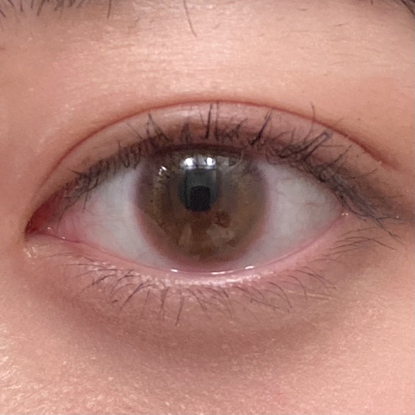 ビュームワンデー/ビューム/ワンデー（１DAY）カラコンを使ったクチコミ（1枚目）